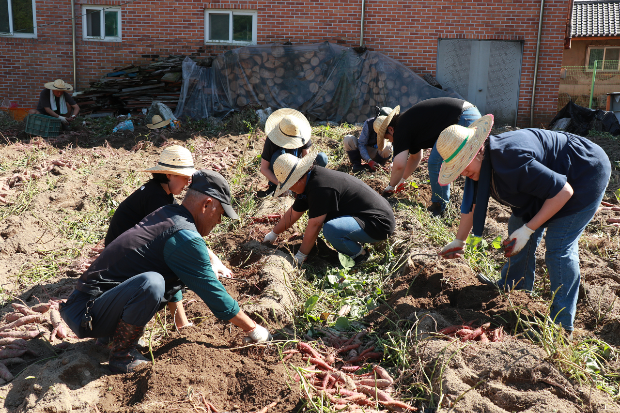 KIHASA Staff Help Out at Their 'One-Company One-Village' Sister Village-3