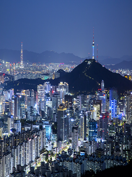 Analyzing the Organizational Structure and Workforce Management in Korean Metropolitan Welfare Administration: Challenges, Limitations, and Policy Directions
